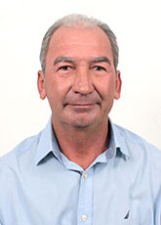 DILI FEIJO / PL / CANARANA